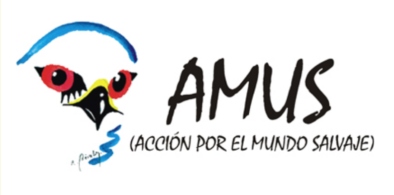 AMUS logo