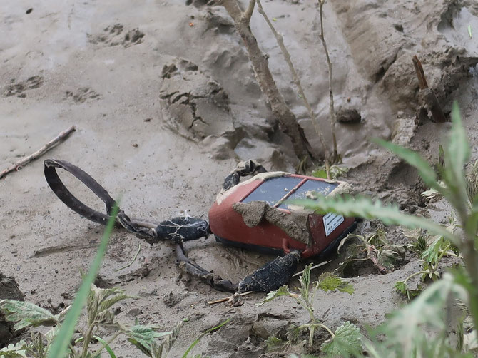 The GPS transmitter of Ichera found © Gábor Deák, MME/BirdLife Hungary