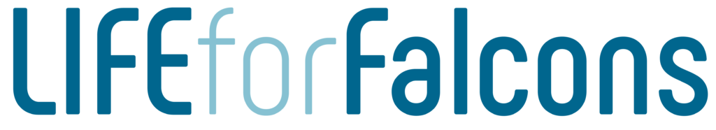 Logo_Life for Falcons