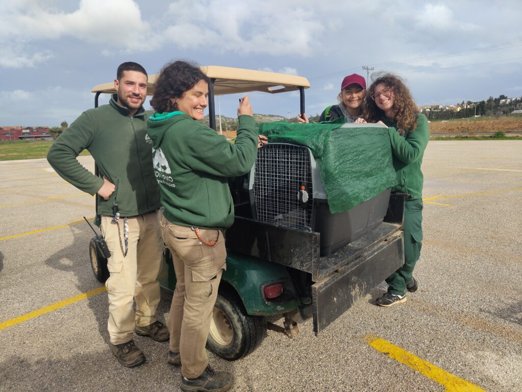 Three women and a man in Attiza Zoo green uniforms, posing near a golf car with a transport kennel on it.